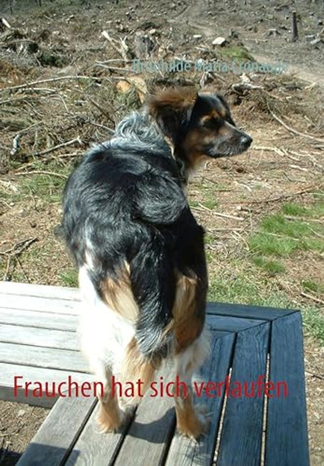 Frauchen hat sich verlaufen